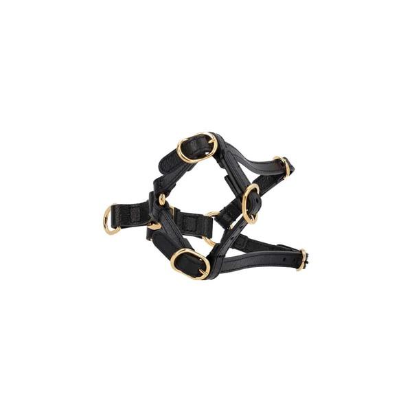 Leather Extra Small Pet Harness Black