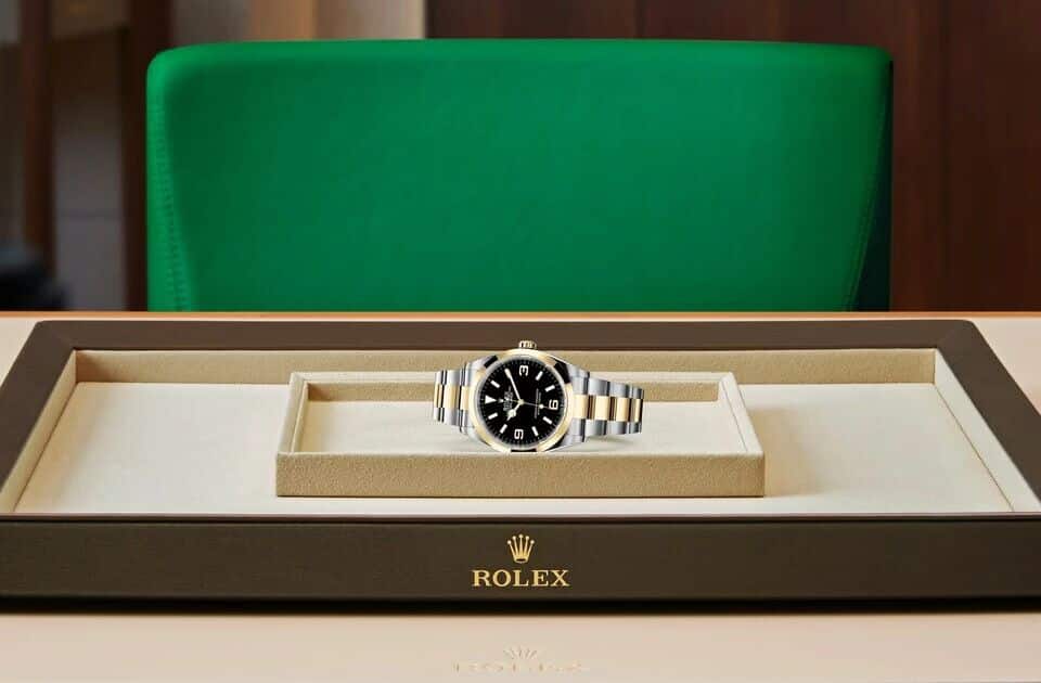 Rolex in Case