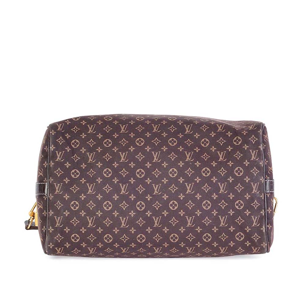 Purse Organizer Insert for Louis Vuitton Speedy 30 Monogram Mini Lin  (Photo), CloverSac