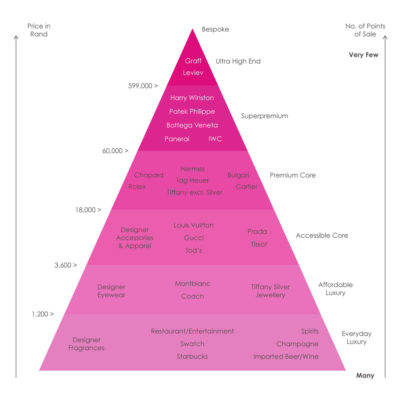 LV Microchip What You NEED To Know 😮