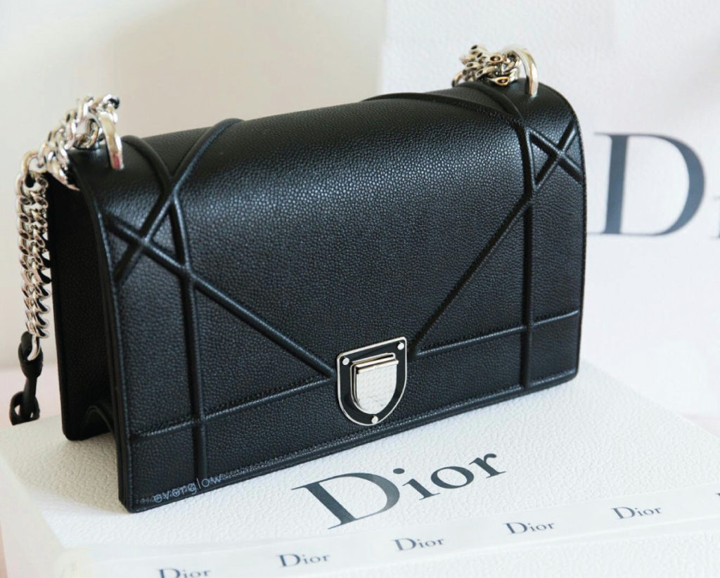 Dior Handbags in South Africa 