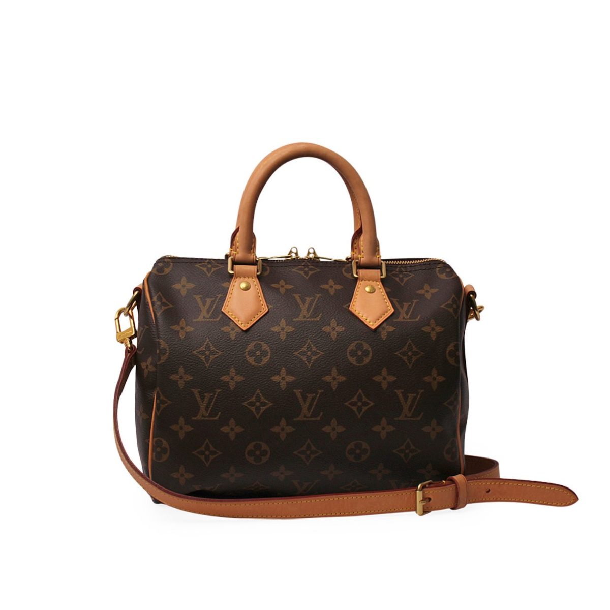 Louis Vuitton speedy Bandouliere 25 By the Pool Capsule Collection