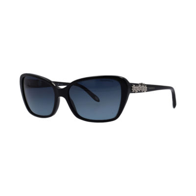 Product TIFFANY & CO. Polarized Sunglasses TF4069-B Black
