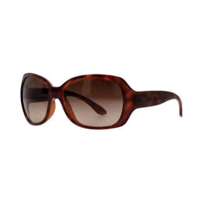 Product CHANEL Sunglasses 6035 Brown