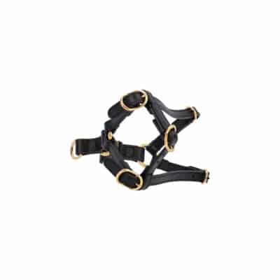 Product GUCCI Leather Extra Small Pet Harness Black