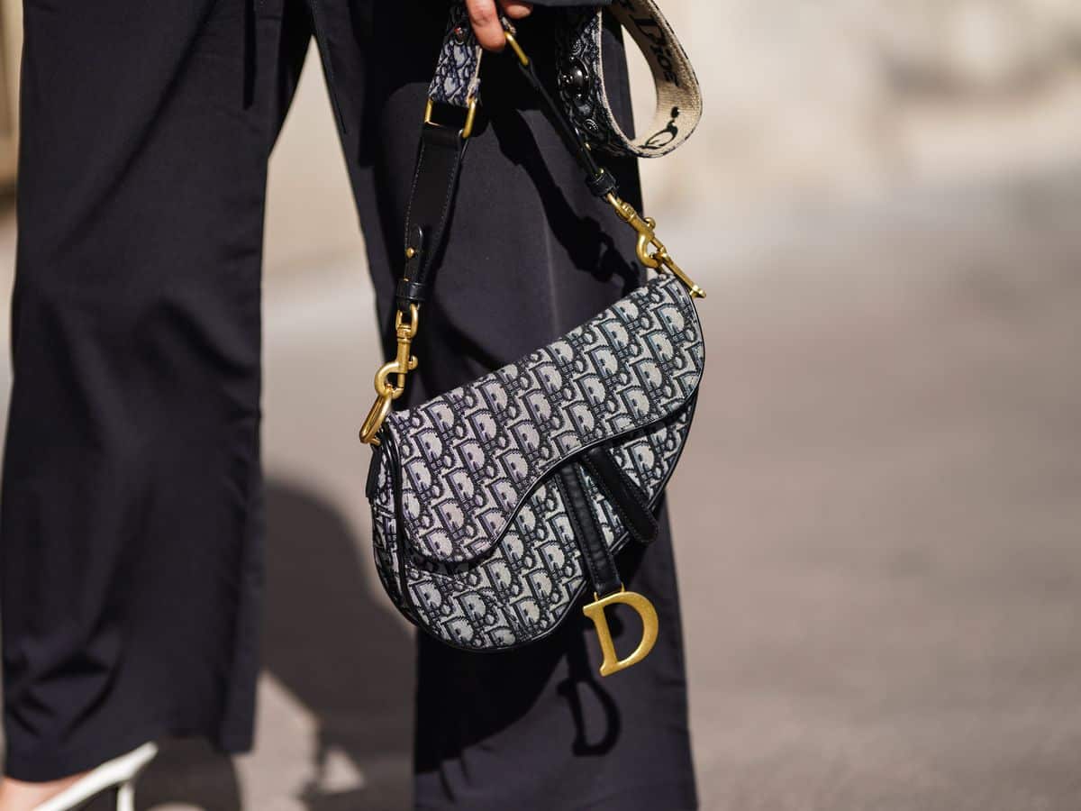 Dior Saddle vs. Boy Chanel : r/handbags