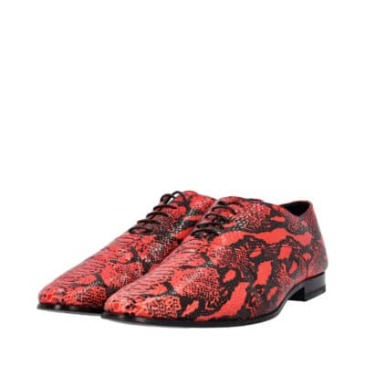 Product SAINT LAURENT Snakeskin Derby Shoes Red/Black