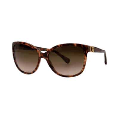 Product DOLCE & GABBANA Sunglasses DG4162P Brown